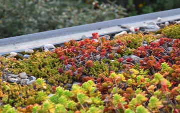 the cost of Gore green roof installation