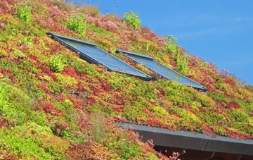Gore living roof systems