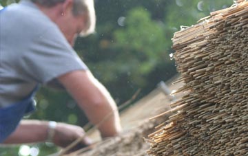 professional Gore thatchers